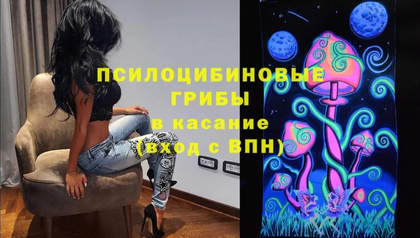 PSILOCYBIN Горно-Алтайск